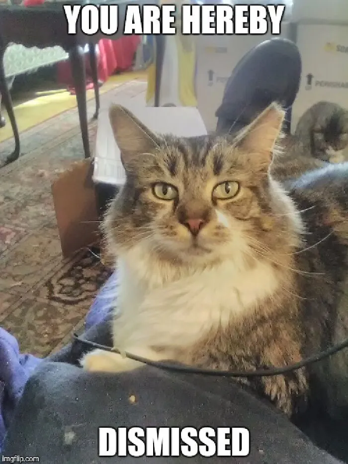 She Judges People