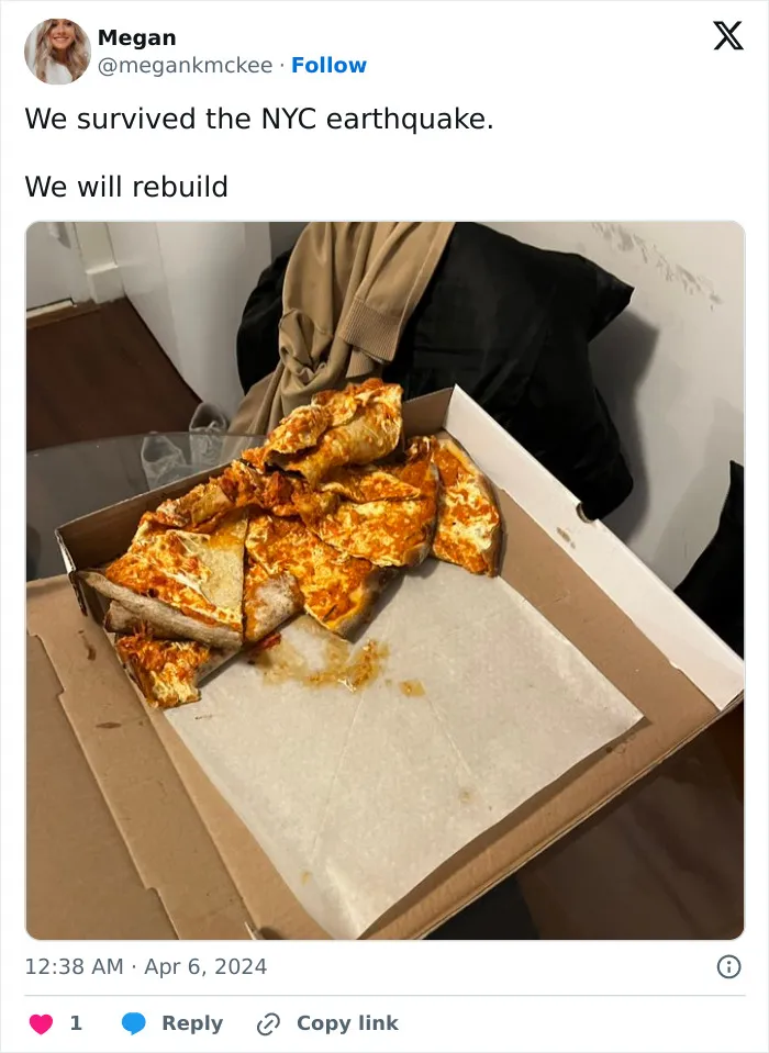 People Created "We Will Rebuild" Trend For East Coast Earthquake And It's Hilarious (30 Images)