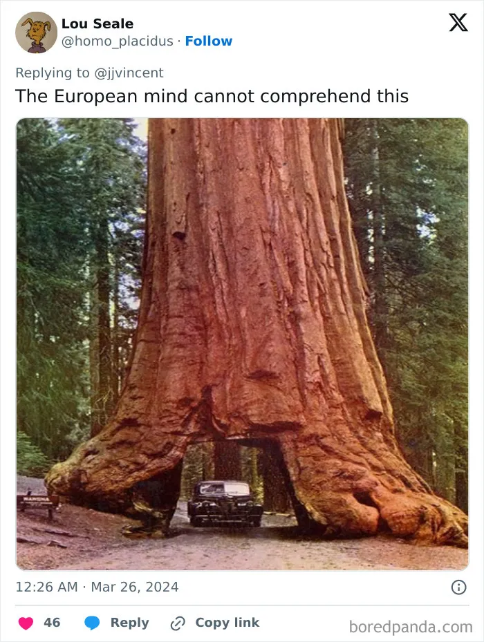 “The European Mind Can’t Comprehend”: People Poke At Differences Between The US And Europe (New Pics)