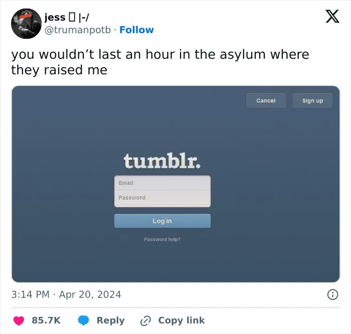 26 "You Wouldn't Last An Hour In The Asylum Where They Raised Me" Posts That People Found Hilarious