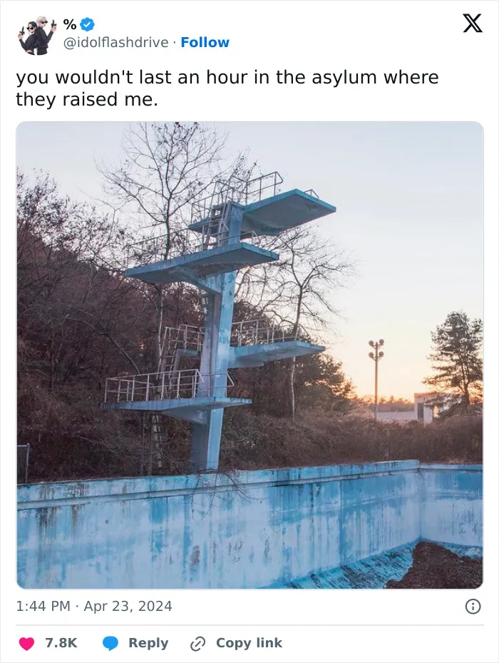 26 "You Wouldn't Last An Hour In The Asylum Where They Raised Me" Posts That People Found Hilarious