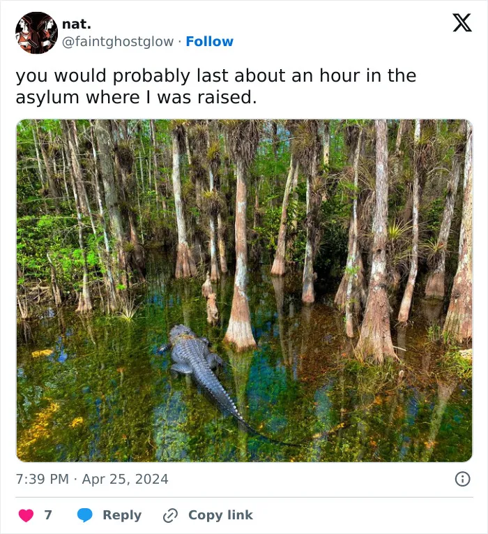 26 "You Wouldn't Last An Hour In The Asylum Where They Raised Me" Posts That People Found Hilarious