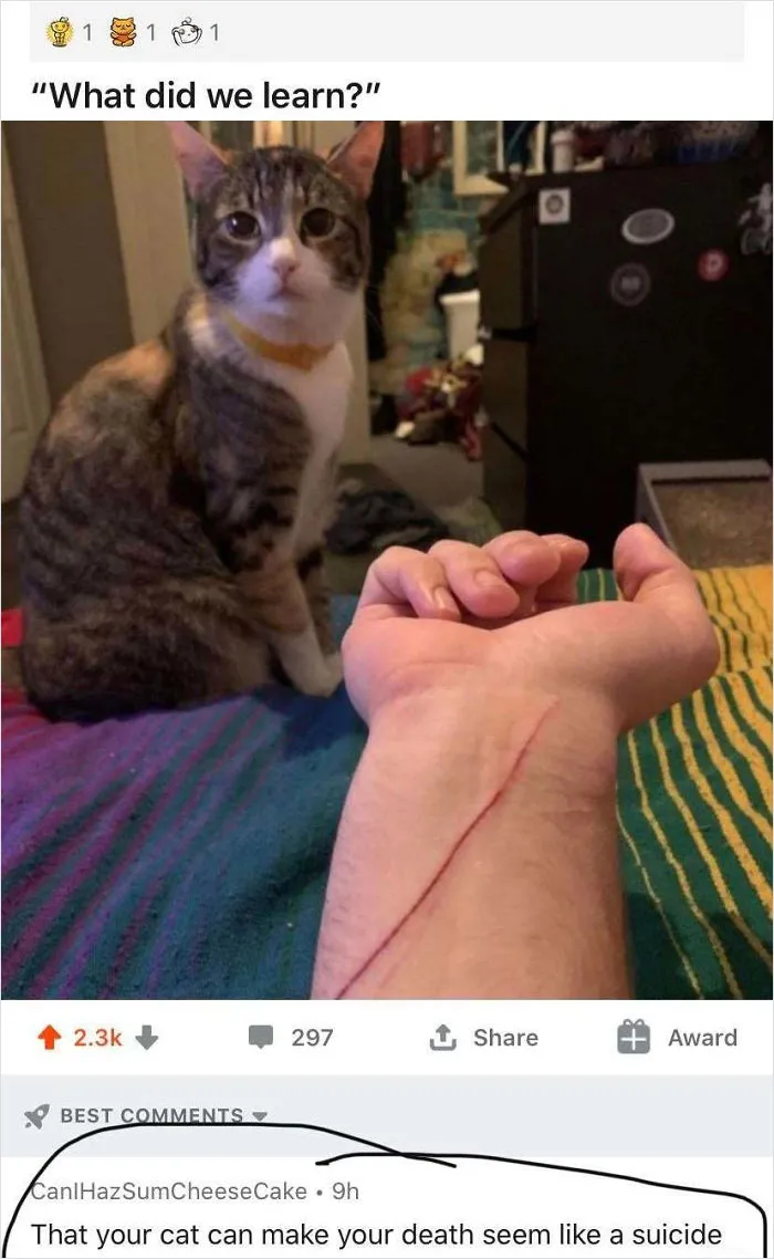 50 Times People Wrote Something So Savage, It Ended Up On The “Cursed Comments” Instagram Page (Best Of All Time)