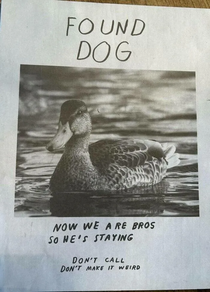 32 Carteles sorprendentemente divertidos que había que compartir