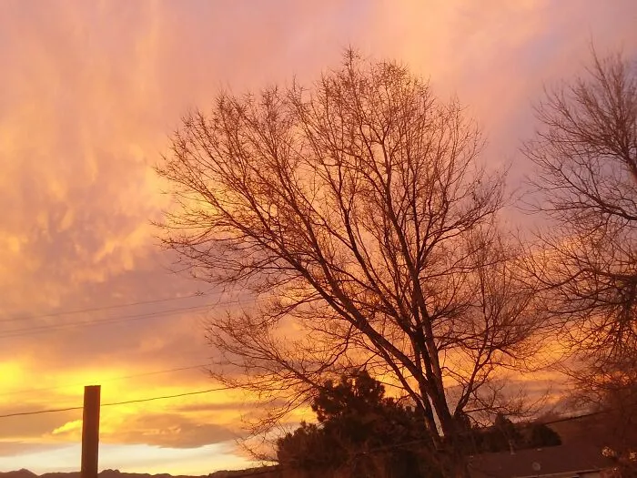 Colorado Sunset