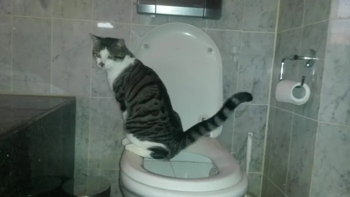 Charlie - Caught In The Act