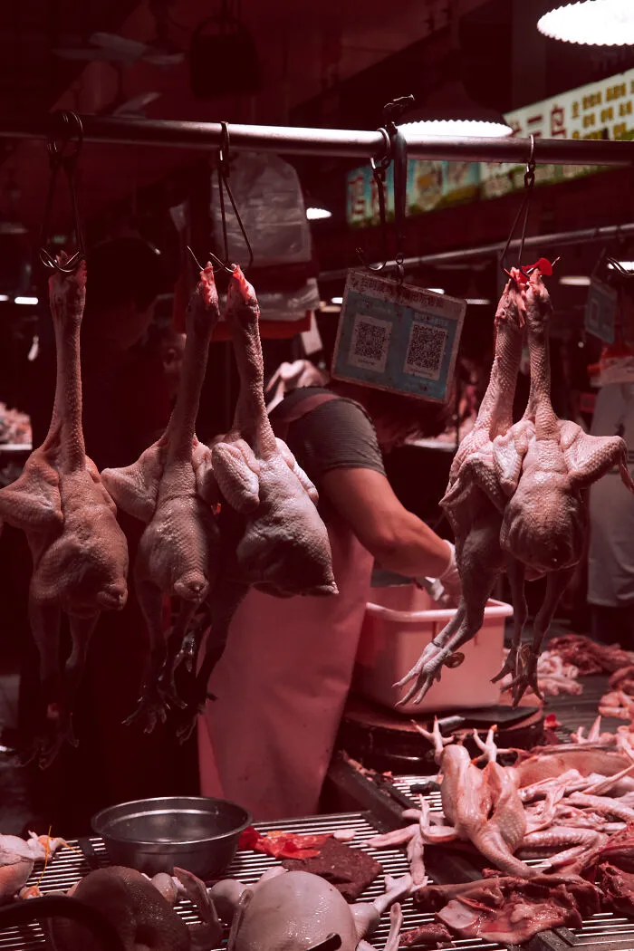 I Photographed The Meat Street Market In Dongguan City, China (9 Pics)