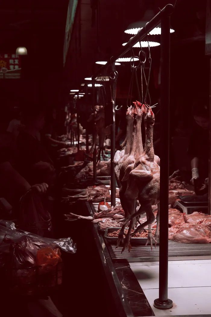 I Photographed The Meat Street Market In Dongguan City, China (9 Pics)