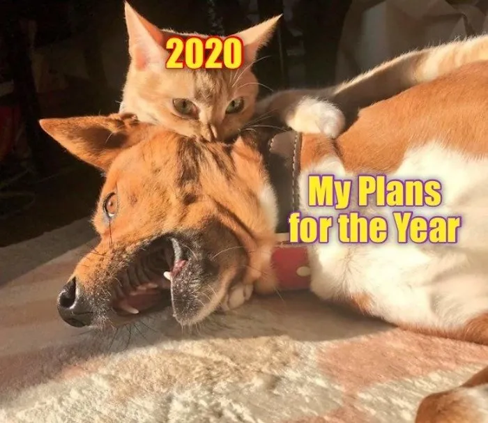 That Year!
