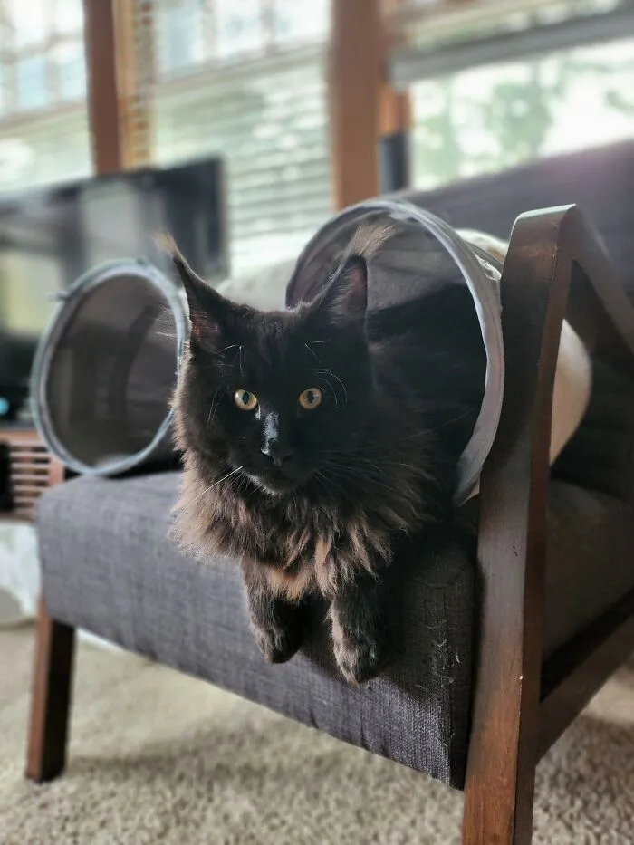 Peek A Boo