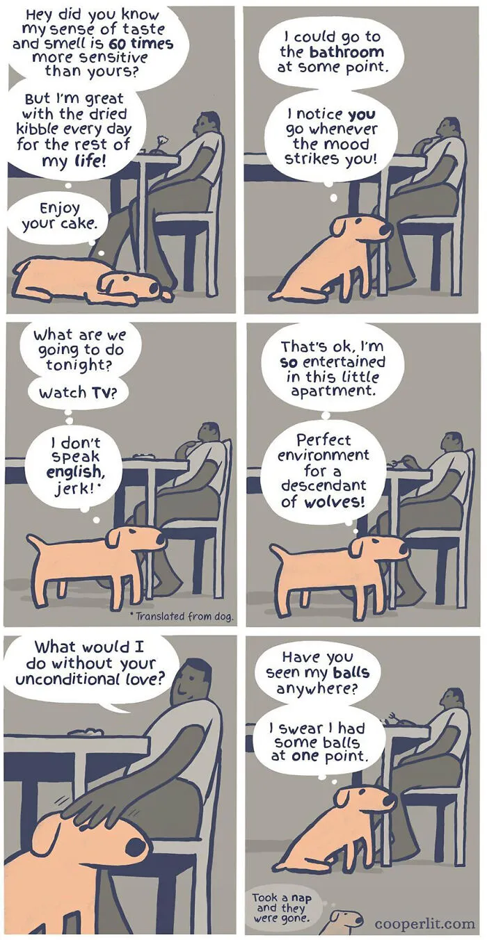 31 Comics Filled With Twists And Turns, From Silly To Serious, By “Cooper Lit Comics” (New Pics)