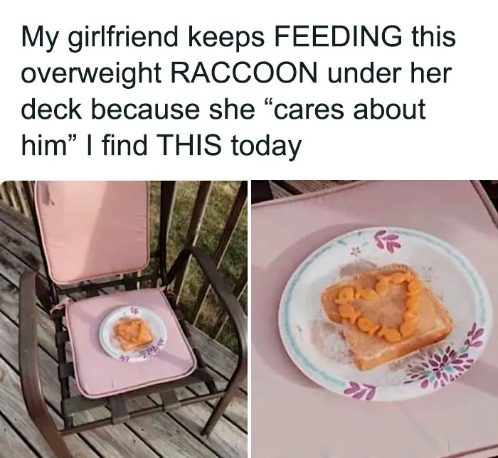 50 Funny Food Memes, As Shared On This Popular Instagram Page