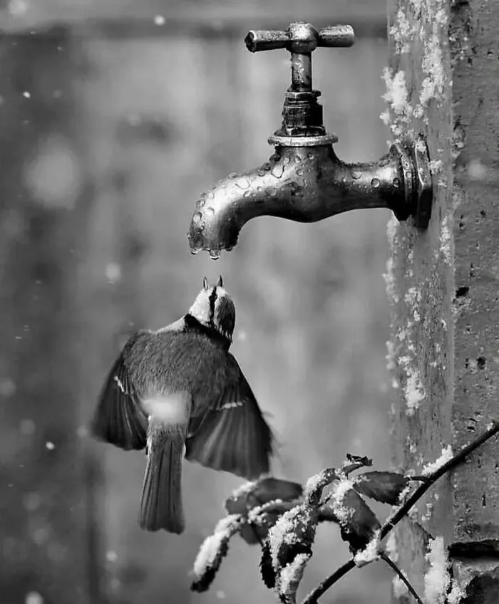 Amusing Urban Life: 30 Pictures Shared On This Instagram Account (New Pics)