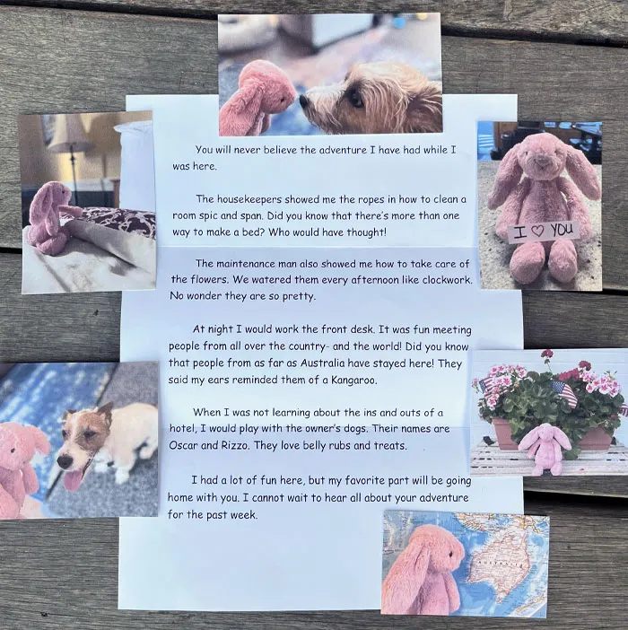 I Accidentally Left My 3-Year-Old’s Favorite Bunny At A Hotel For A Week. The Hospitality Was Top-Tier
