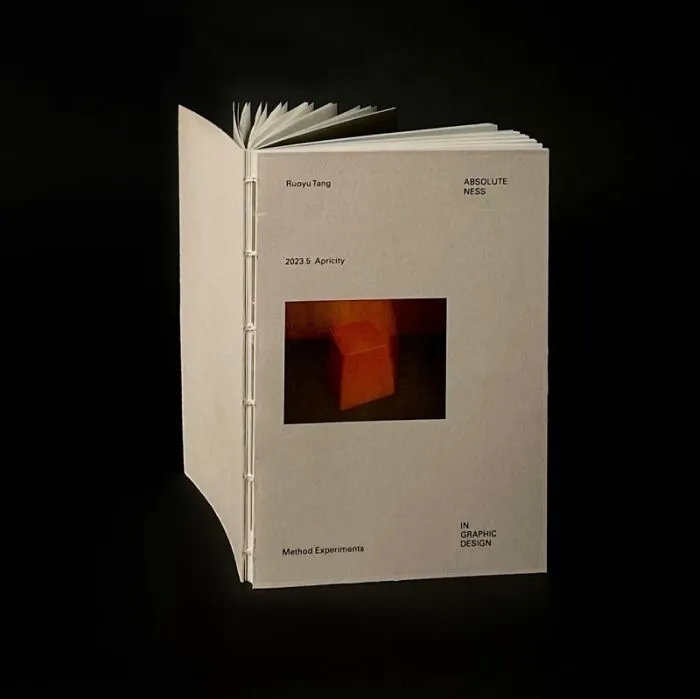 "Absoluteness In Graphic Design" By Ruoyu Tang