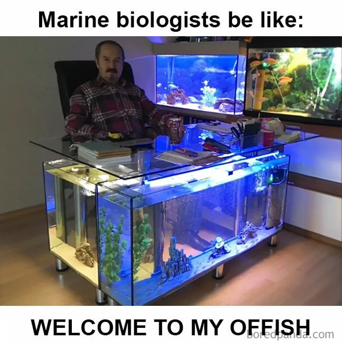 ‘Science Is Fun’: 50 Funny And Smart Memes For Science Lovers Everywhere