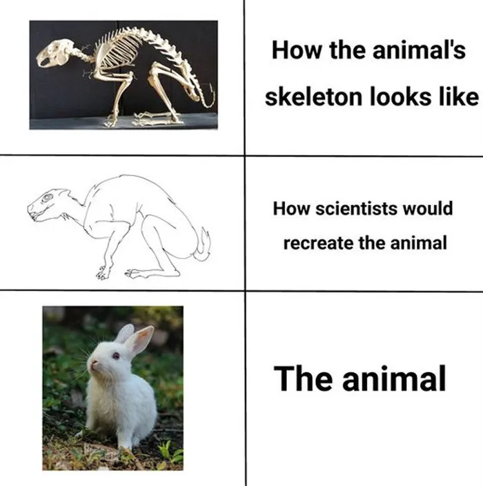 ‘Science Is Fun’: 50 Funny And Smart Memes For Science Lovers Everywhere