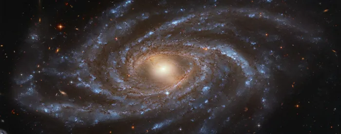 NGC 2336