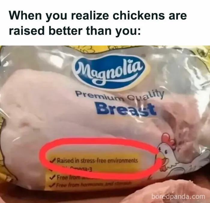 50 Funny Food Memes, As Shared On This Popular Instagram Page