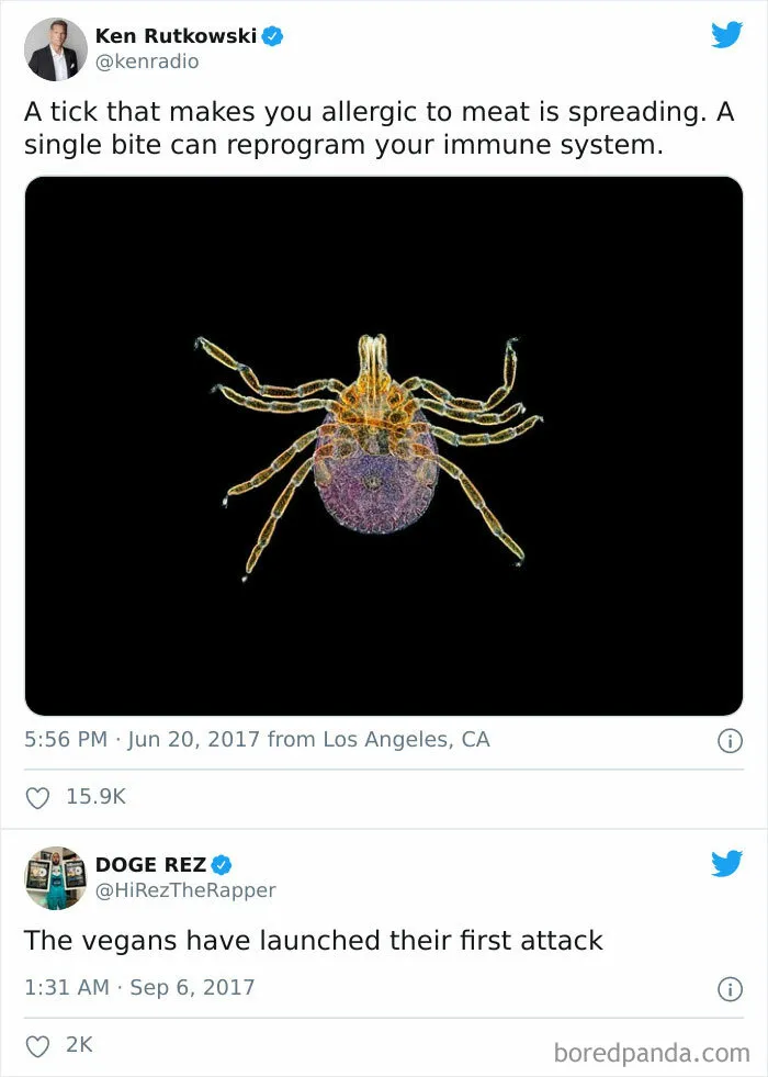 50 Times People Wrote Something So Savage, It Ended Up On The “Cursed Comments” Instagram Page (Best Of All Time)