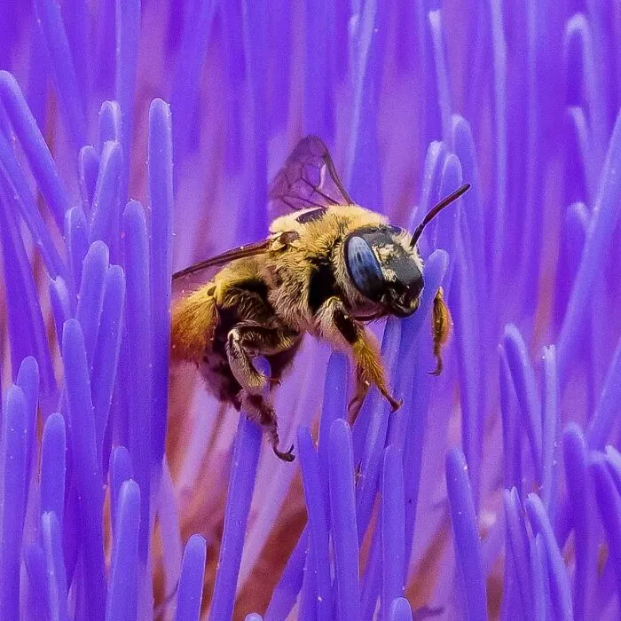This Photographer Captured 50 Unforgettable Moments Featuring Wildlife