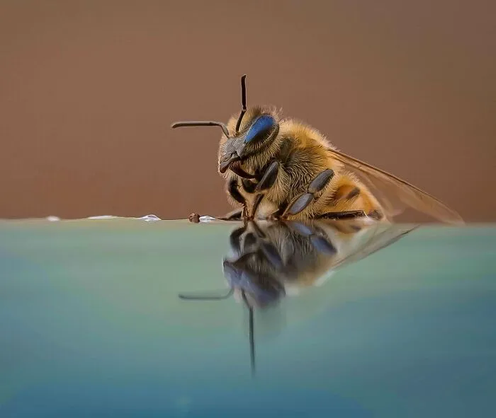 This Photographer Captured 50 Unforgettable Moments Featuring Wildlife