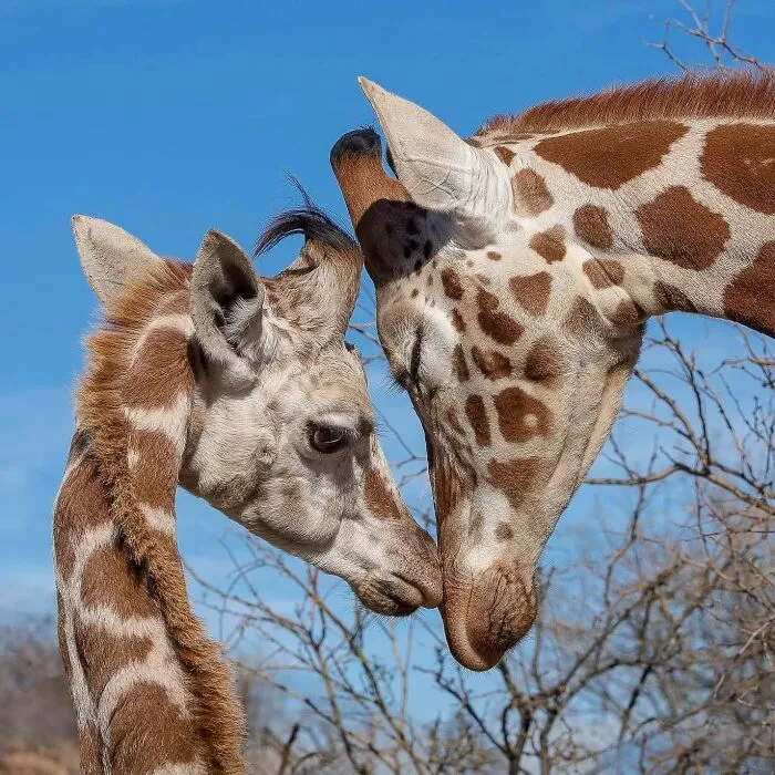 This Photographer Captured 50 Unforgettable Moments Featuring Wildlife
