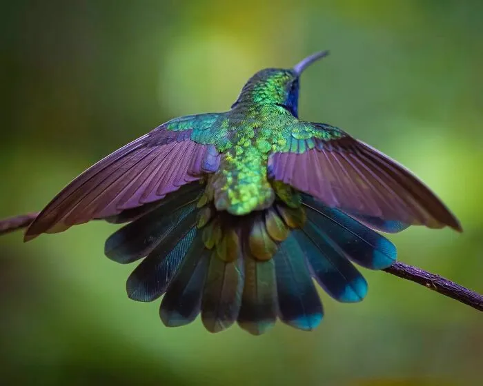 This Photographer Captured 50 Unforgettable Moments Featuring Wildlife
