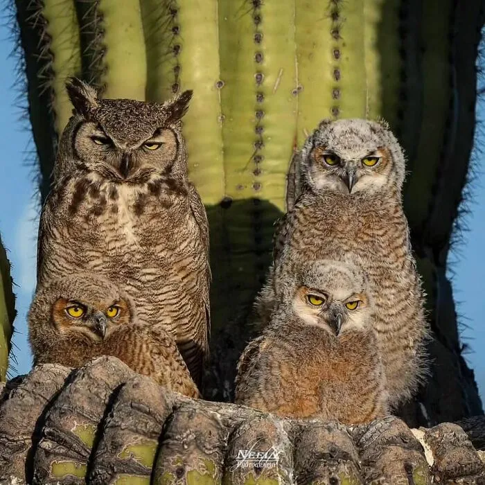 This Photographer Captured 50 Unforgettable Moments Featuring Wildlife