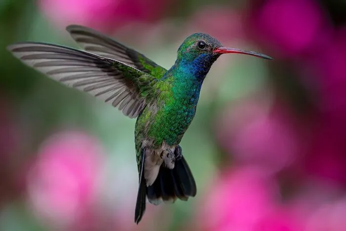 This Photographer Captured 50 Unforgettable Moments Featuring Wildlife
