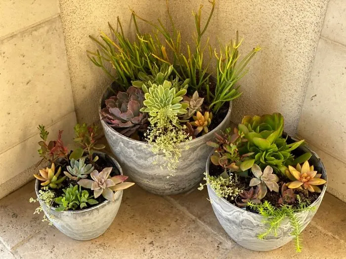 Enhance Your Backyard With Bloom Haven <span Style="Font:inherit;color:#d74b1f;"> Flower Pots</Span>