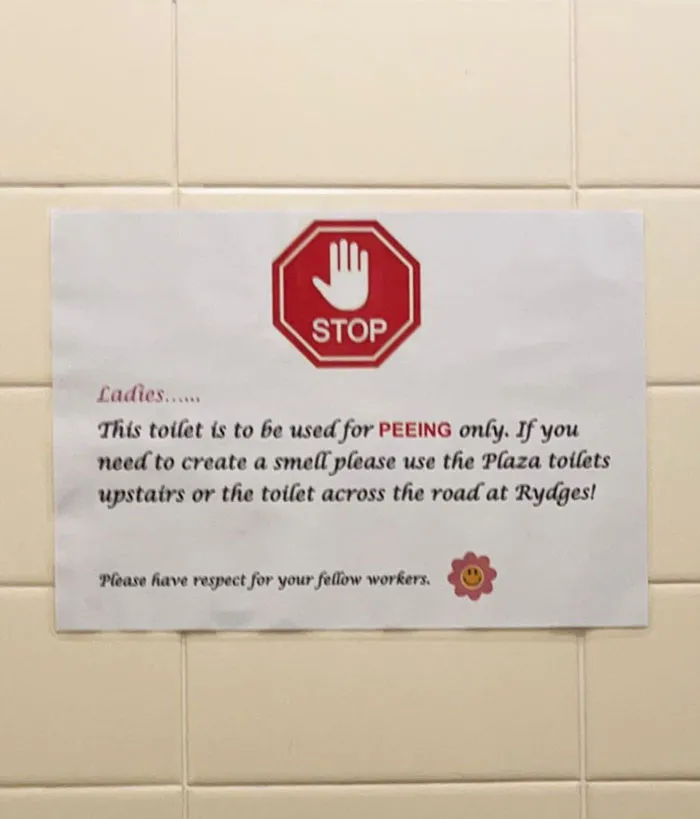 My Work Doesn’t Allow You To Use A Toilet As A Toilet