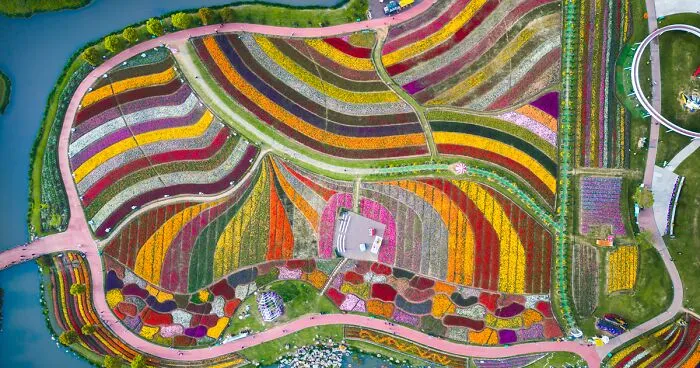 My 34 Photographs Of The Holland Flower Park In China