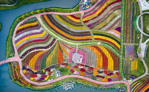 My 34 Photographs Of The Holland Flower Park In China
