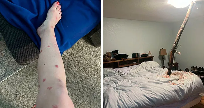 These People Experienced The Worst Luck Imaginable And Had No Choice But To Take A Pic (50 New Pics)