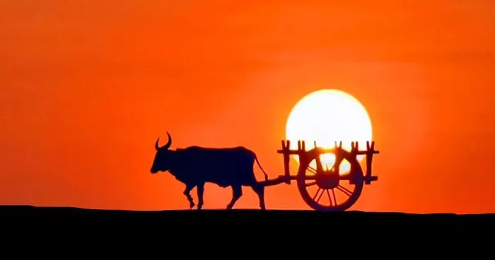 This Photographer Captures The Sun As An Integral Part Of His Photo Stories (17 New Pics)