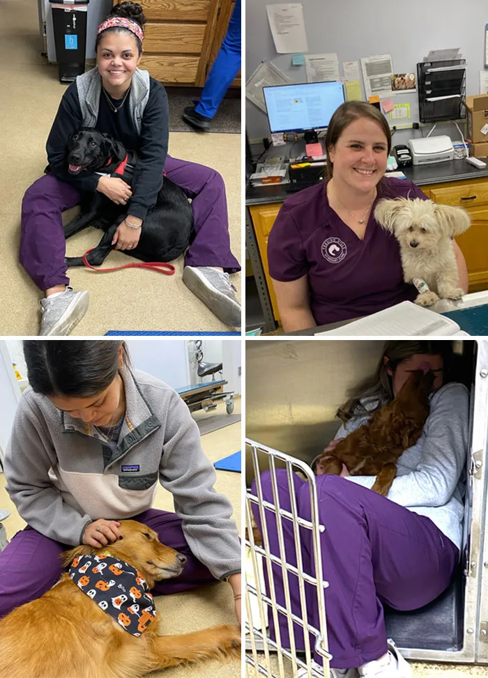 We Understand How Difficult It Can Be To Drop Your Pet Off For Surgery Or To Be Hospitalized When They Are Sick, But We Want You To Know That They Are Being Loved As Though They Are Our Own