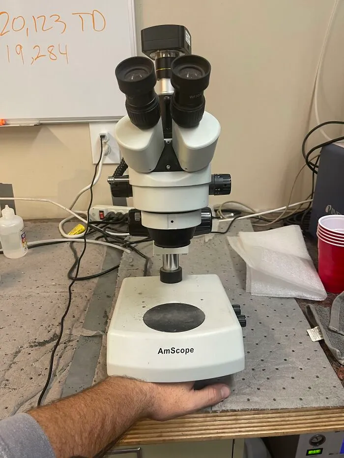 Así se ve una mano humana bajo el microscopio