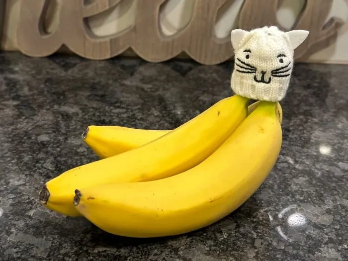 Keep Your Bananas Fresh With <a Style="Display:inline;" Href="Https://Www.amazon.com/Preserver-Bananas-Fresher-Silicone-Perfect/Dp/B09x9mlxcq?ie=utf8&th=1&linkcode=ll1&tag=bporca-20&linkid=2a312db21092d6d6562666e72240f6ef&language=en_us&ref_=as_li_ss_tl" Target="_blank"><span Style="Font:inherit;color:#d74b1f;"> Nana Hats</Span>: Extend The Lifespan Of Your Bananas And Minimize Spoilage