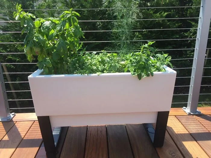 Effortlessly Maintain Your Plants With A <span Style="Font:inherit;color:#d74b1f;"> Self-Watering Mini Bench Planter</Span>: Keep Your Greenery Hydrated And Thriving