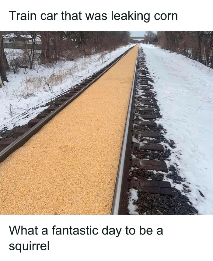 50 Animal And Nature Memes, As Shared By Members Of This Popular Facebook Group