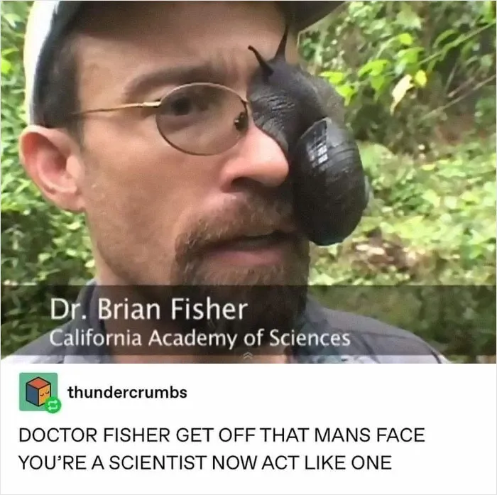 50 Animal And Nature Memes, As Shared By Members Of This Popular Facebook Group