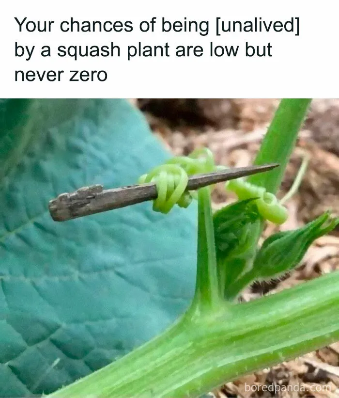 50 Animal And Nature Memes, As Shared By Members Of This Popular Facebook Group