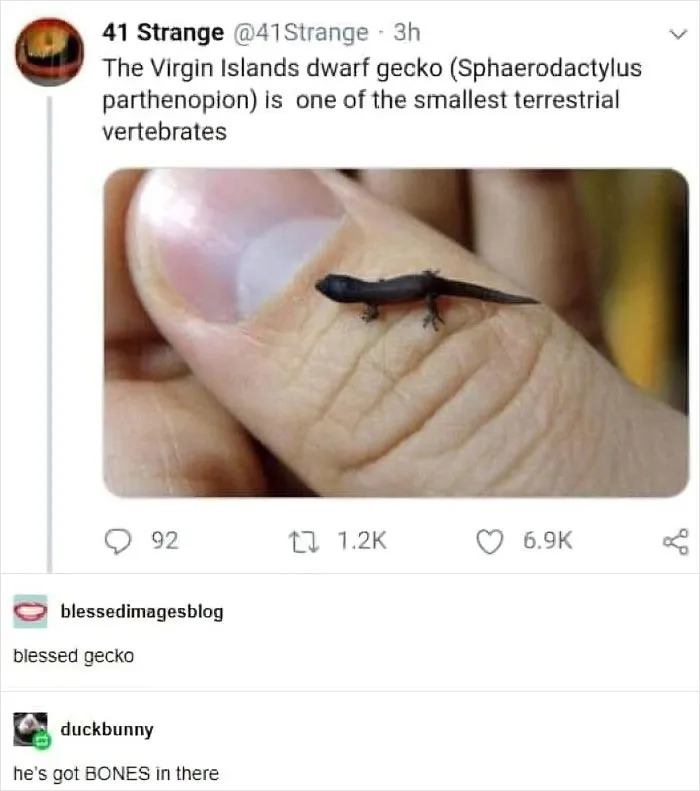 50 Animal And Nature Memes, As Shared By Members Of This Popular Facebook Group
