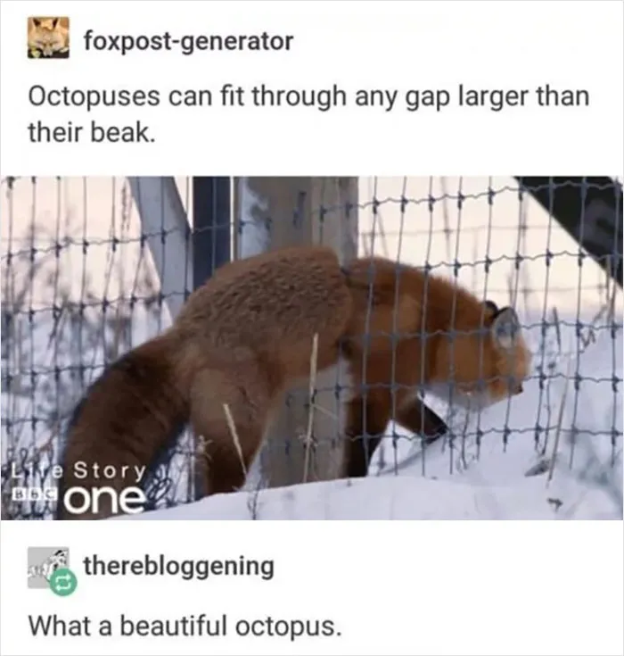 50 Animal And Nature Memes, As Shared By Members Of This Popular Facebook Group