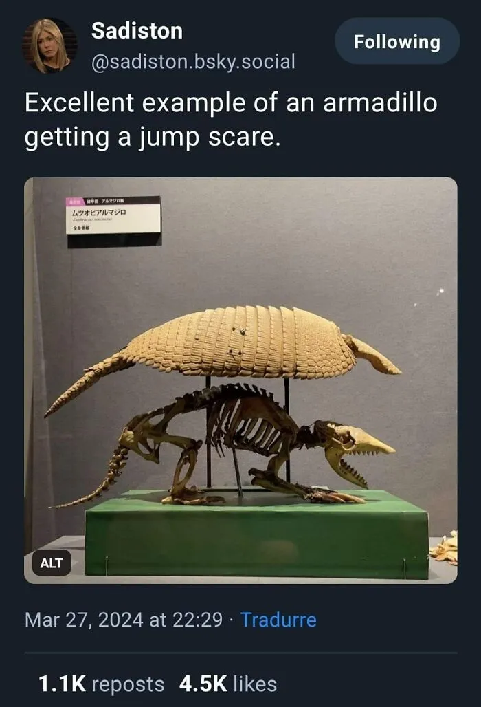 50 Animal And Nature Memes, As Shared By Members Of This Popular Facebook Group