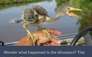 50 Animal And Nature Memes, As Shared By Members Of This Popular Facebook Group