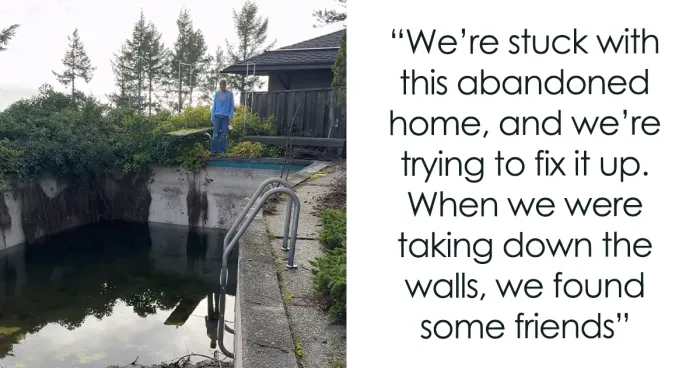 Woman Buys Abandoned House To Make Her Dream Home—It Turns Into A Nightmare