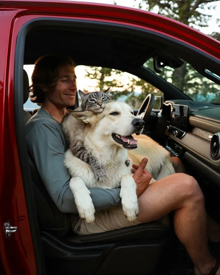 This Cat And Dog Are The Best Travel Buddies, And Their Pictures Are Adorable (21 Pics)