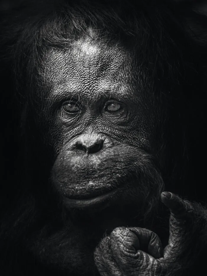 Mother's Face